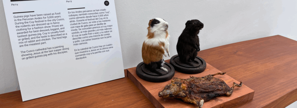 The Disgusting Food Museum in Palma. 