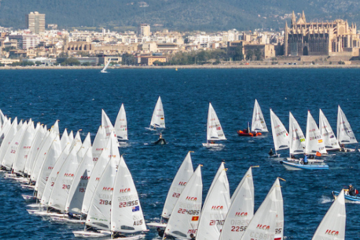 events in Palma 2026 march