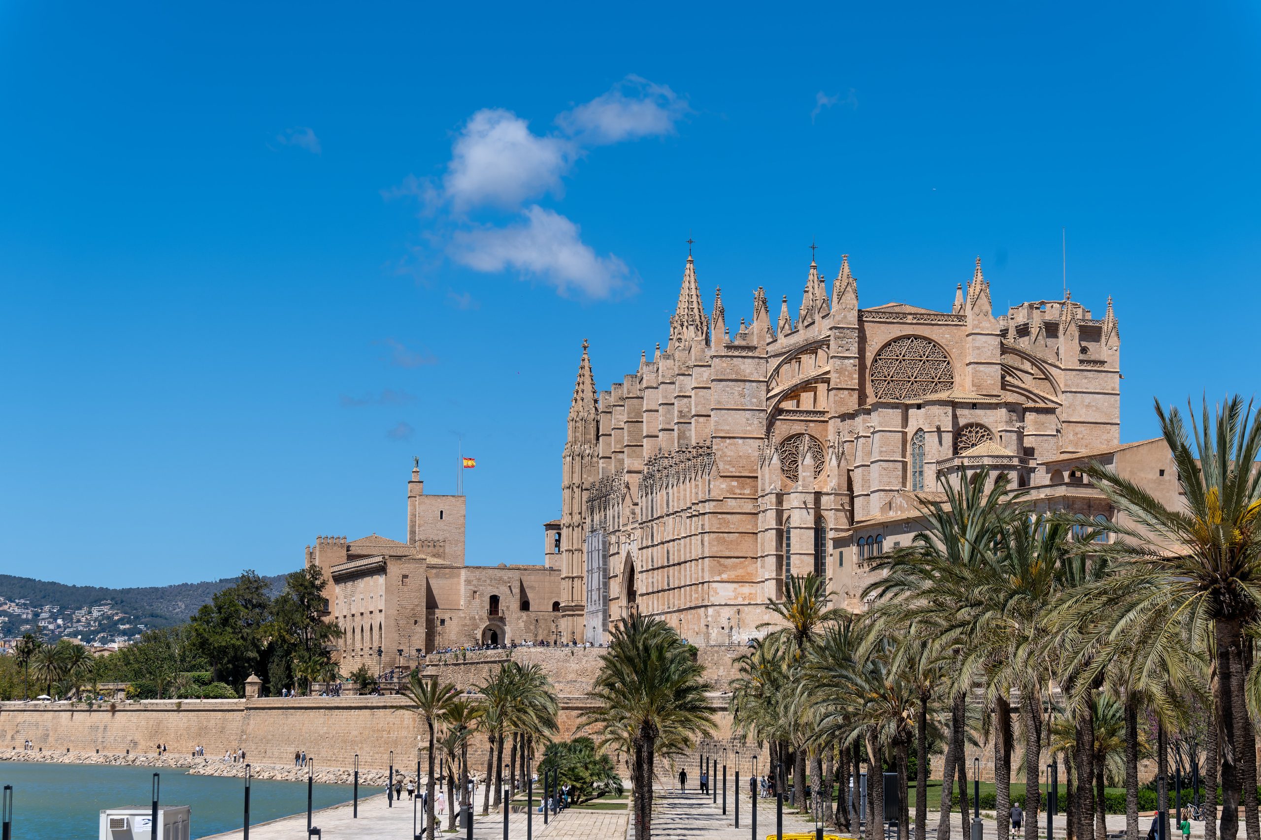 View across Palma Cathedral, Parc de la Mar and the historic centre of Palma, Mallorca