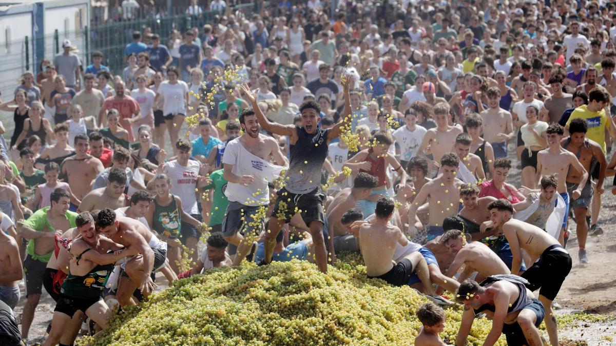 Festa des Vermar grape harvest celebrations in Binissalem, Mallorca